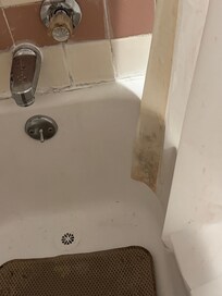Filthy tub with mold on the shower curtain and dirty tub and mat