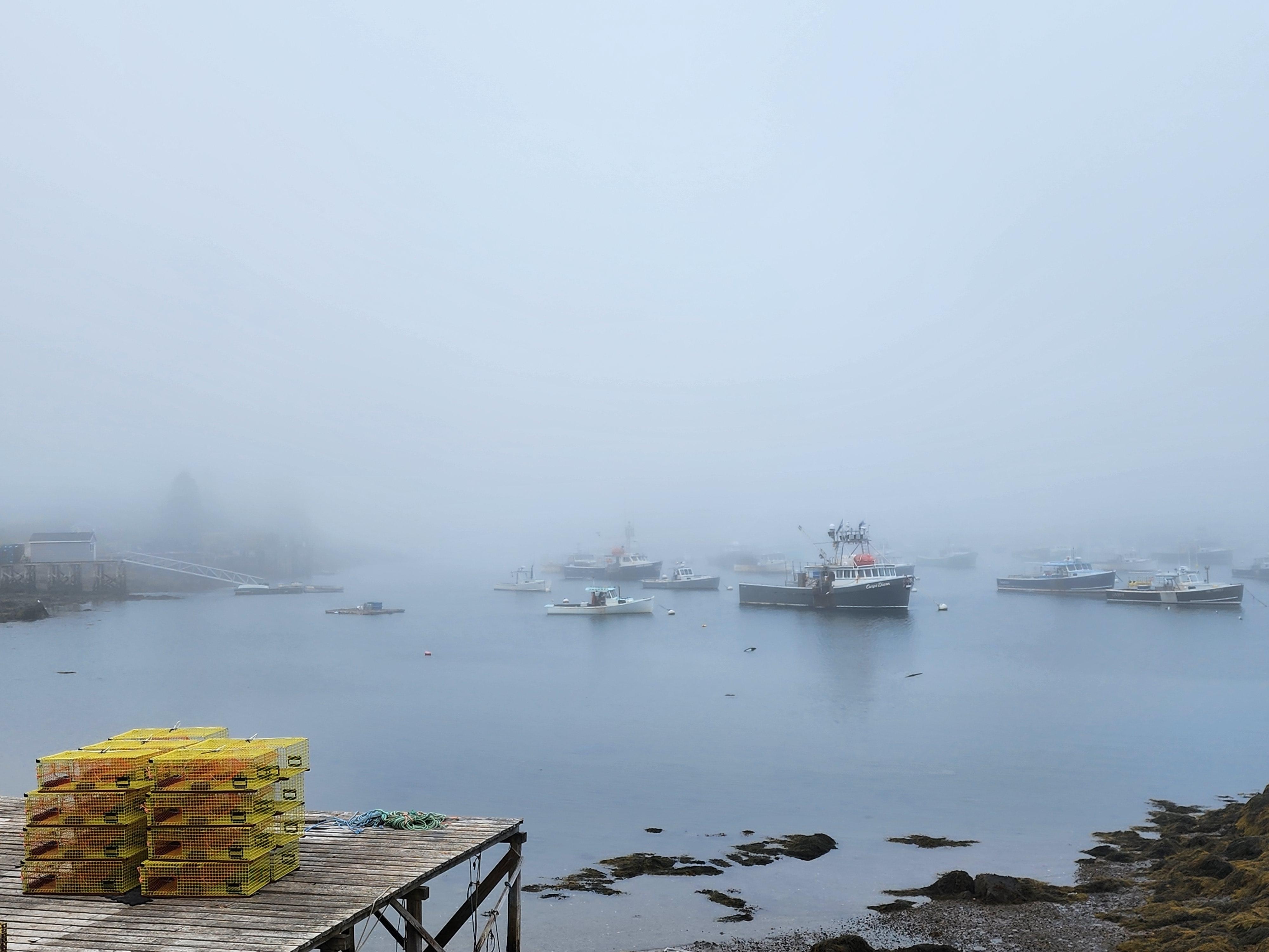 Foggy harbor
