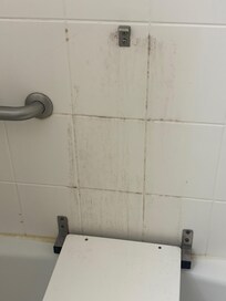 Black mold that made me ill after showering.