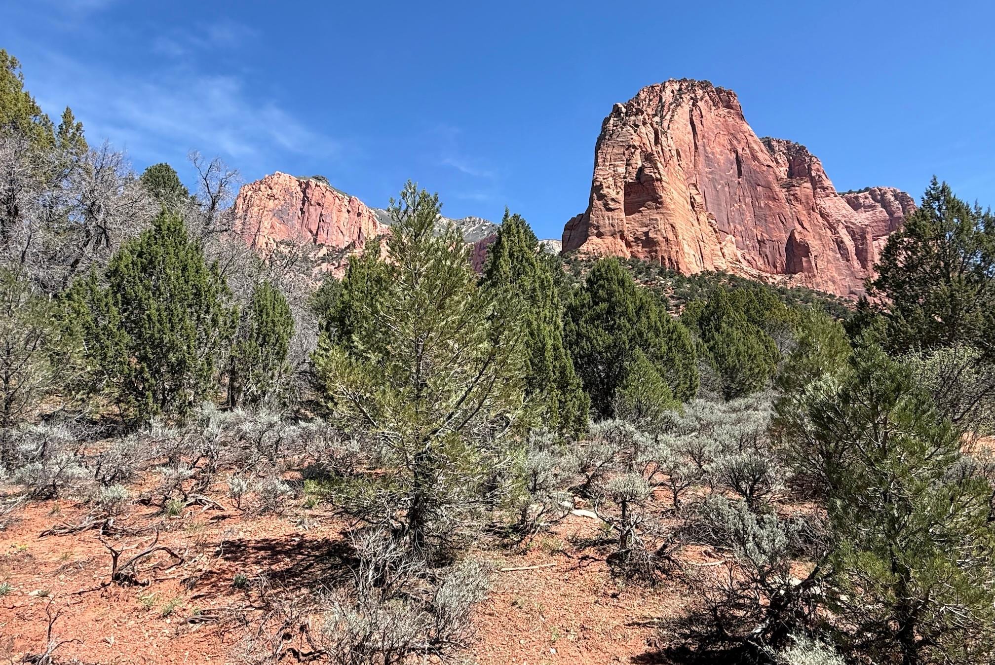 LaVerkin Creek Trail to Kolob Arch