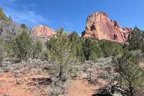 LaVerkin Creek Trail to Kolob Arch