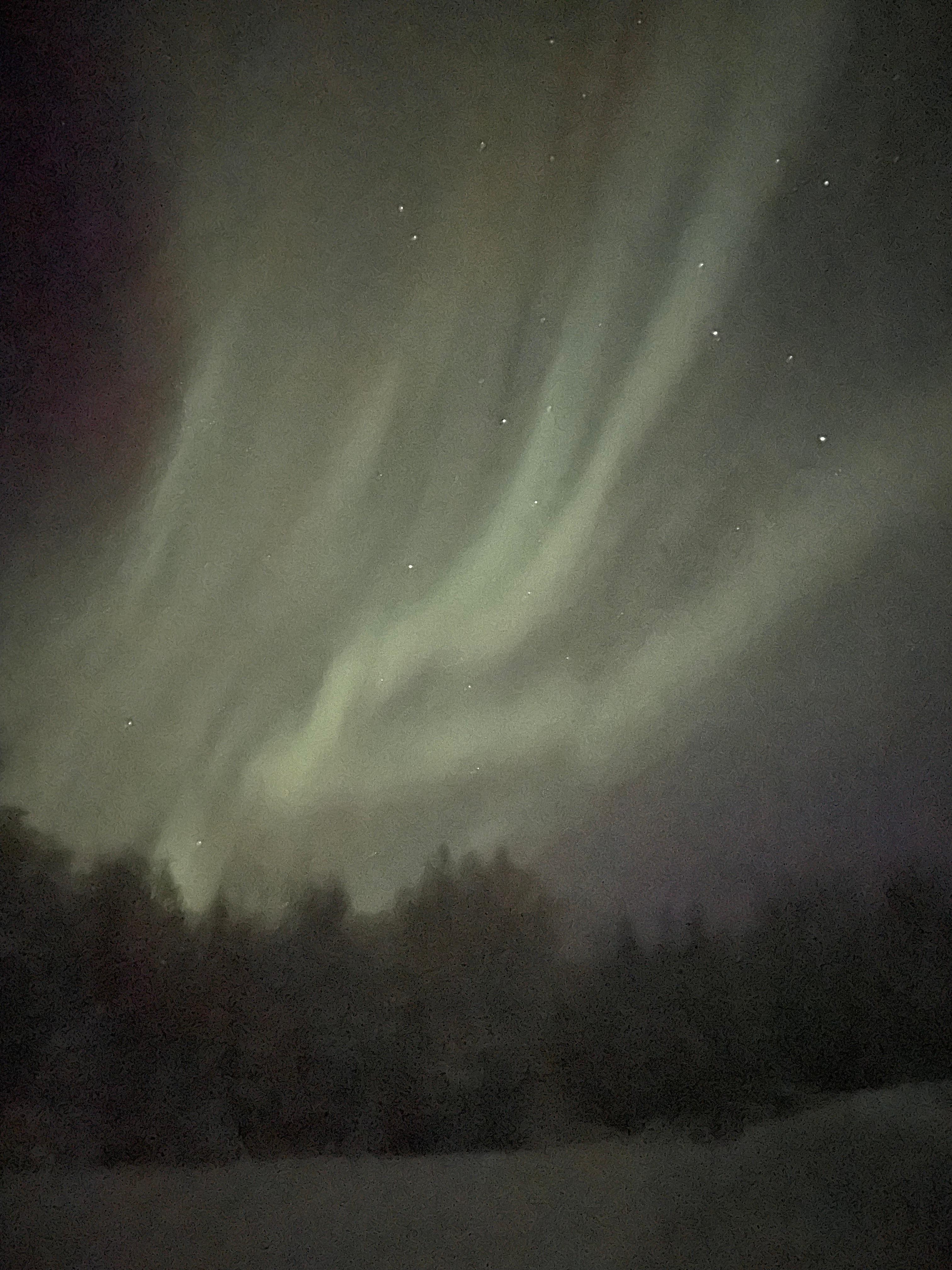 The Aurora - taken with just a phone