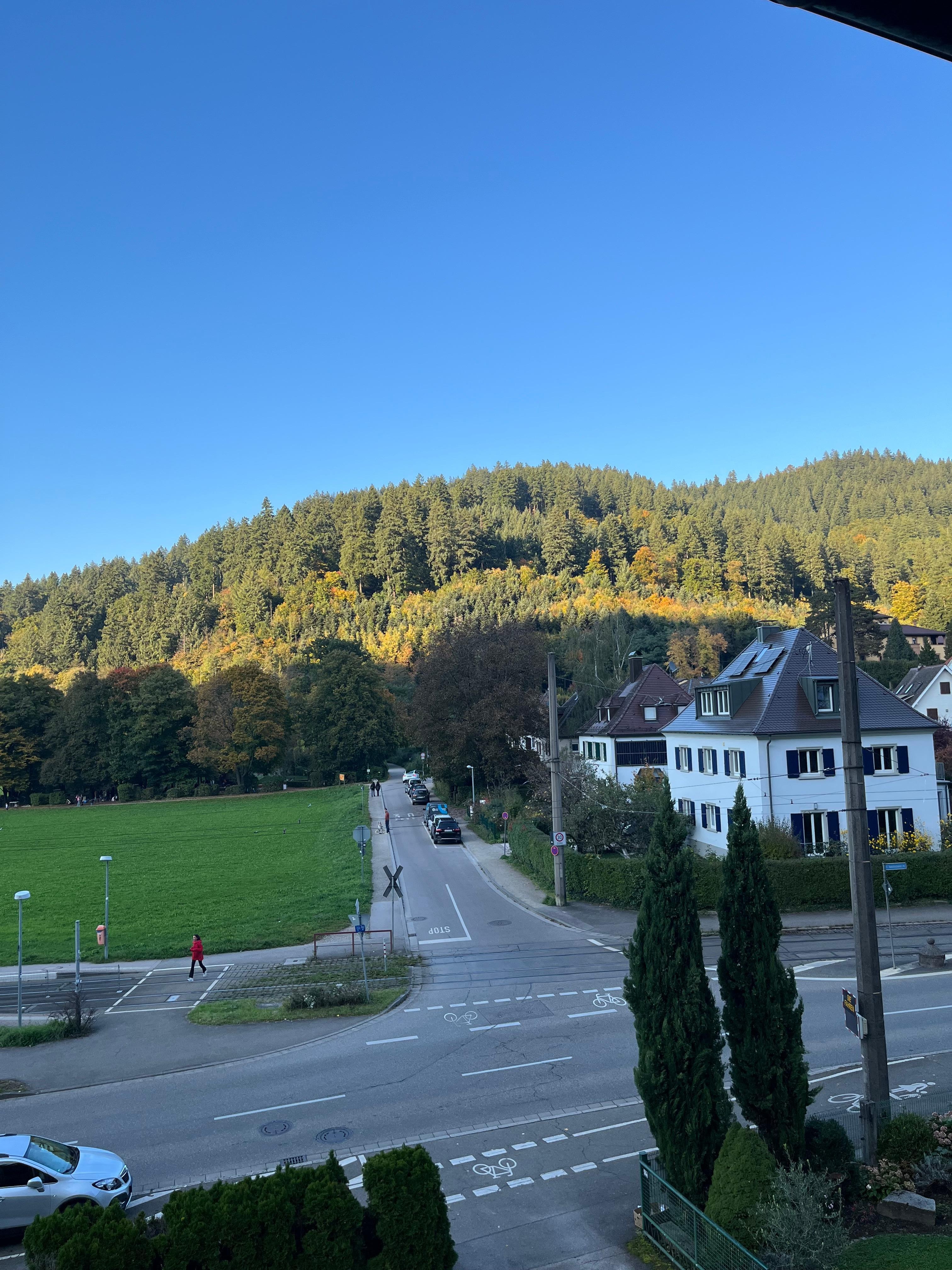 Der Blick aus dem Wohnzimmer