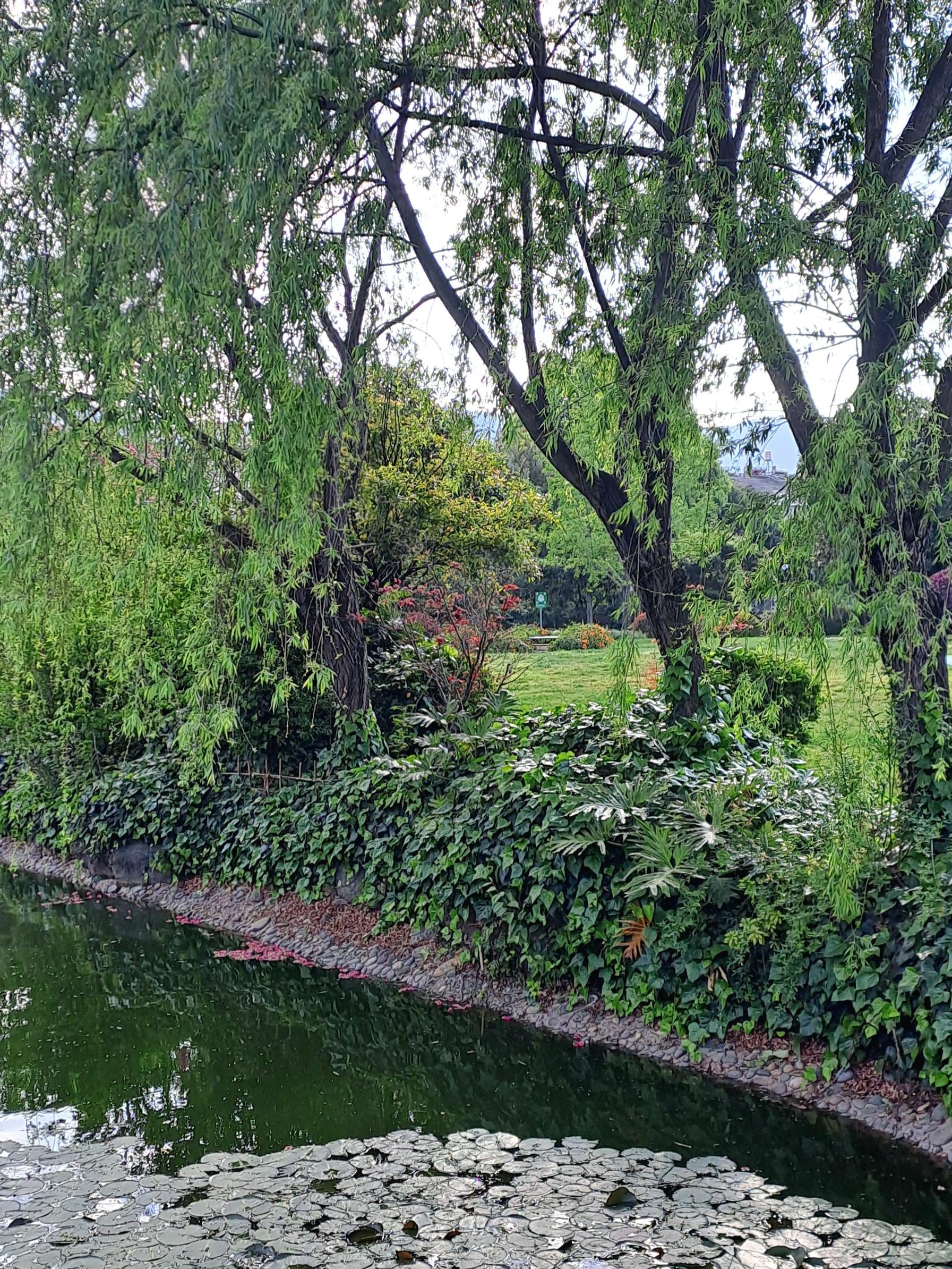 酒店的園林很好