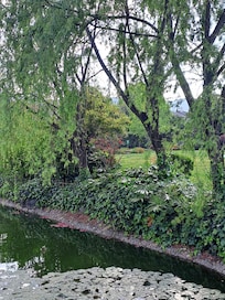 酒店的園林很好