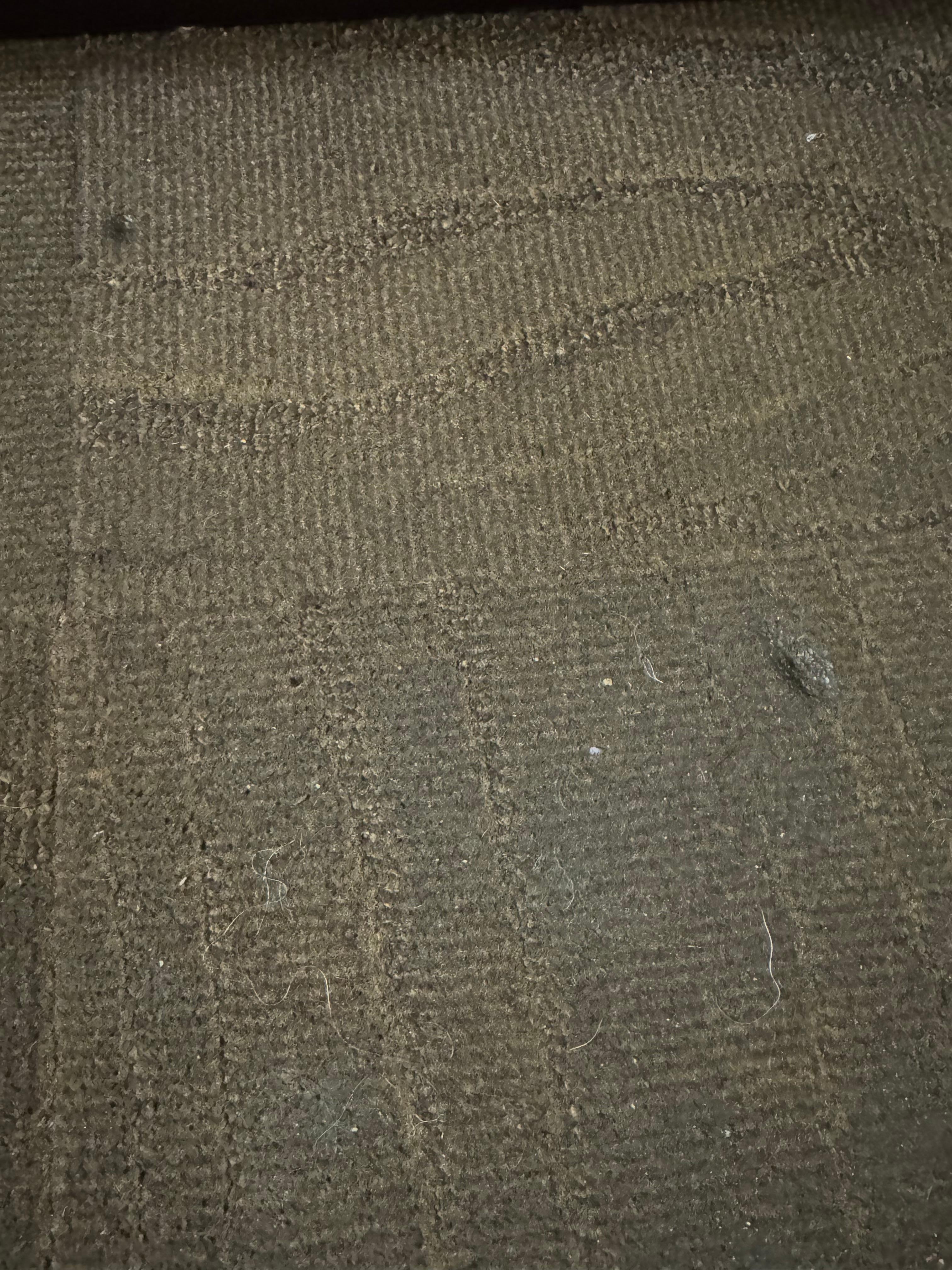 Carpet burns from cigarettes “ smoke free “ 