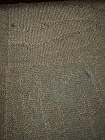 Carpet burns from cigarettes “ smoke free “