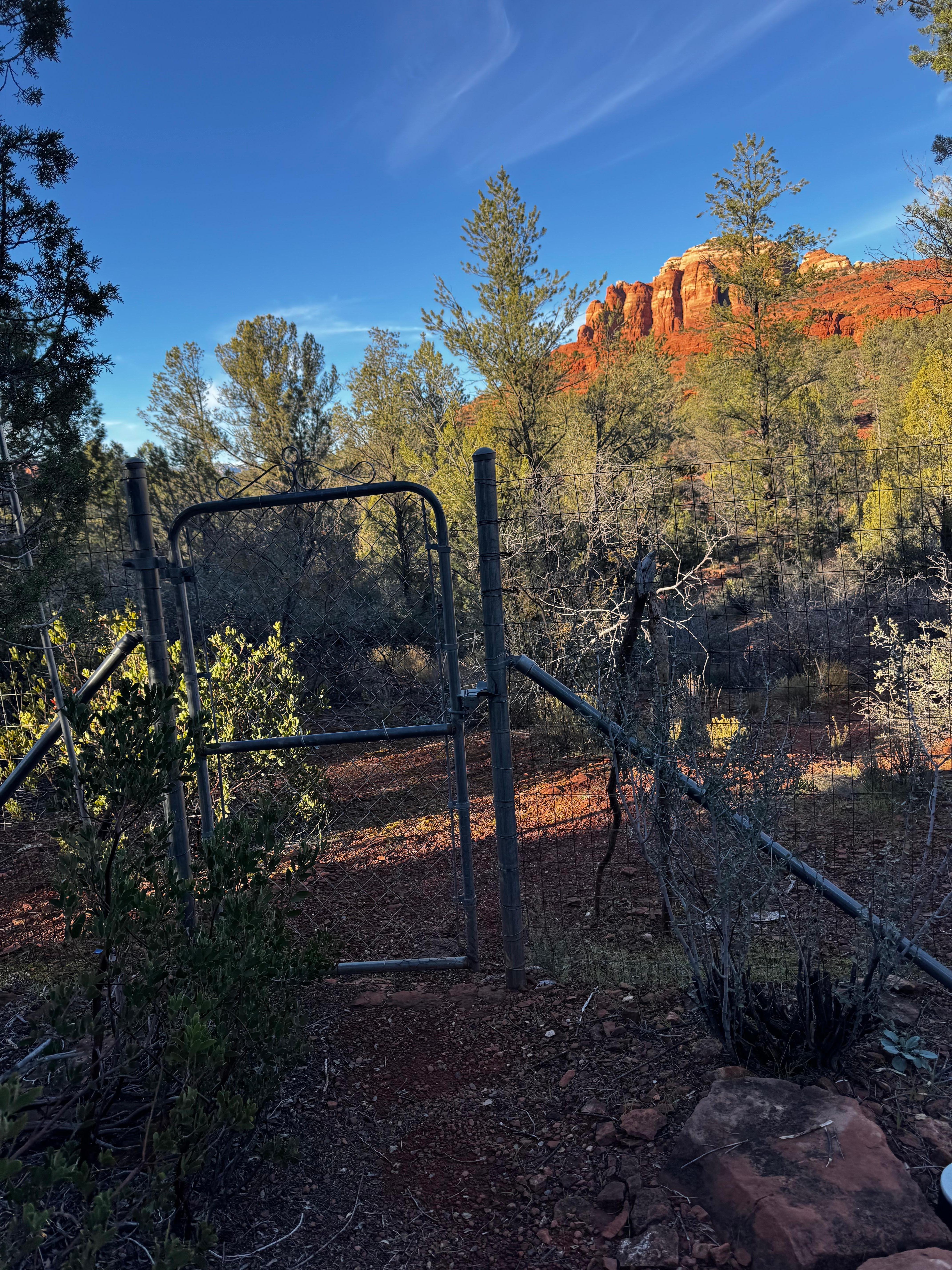 Their back gate was the key to my happiness. I could be in the middle of nowhere in just a few minutes. That is spectacular to someone who craves solitude. 