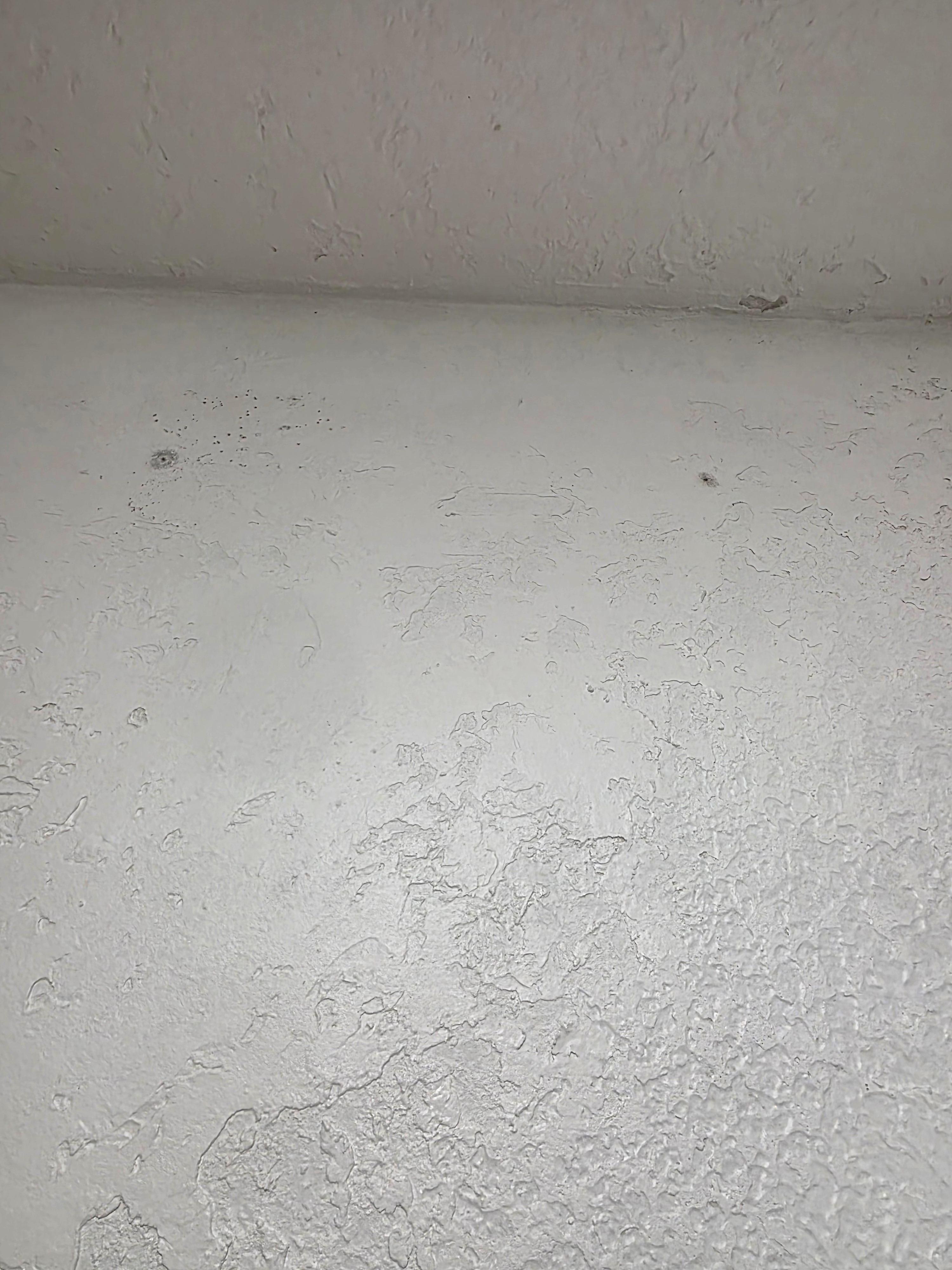 Bathroom wall/ ceiling 