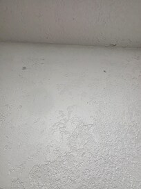 Bathroom wall/ ceiling