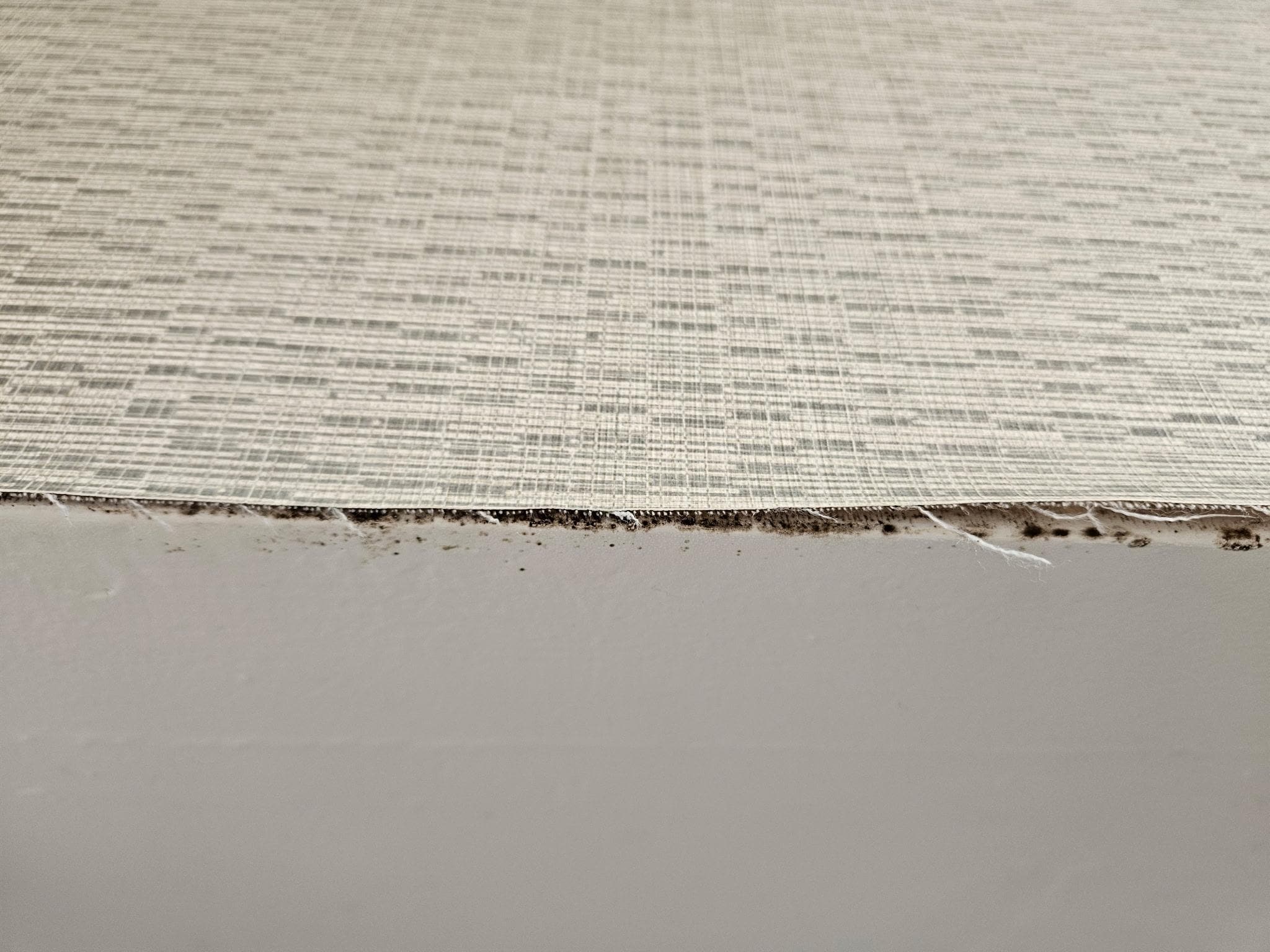 Mold under the wallpaper above the shower 