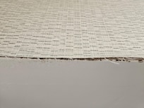 Mold under the wallpaper above the shower