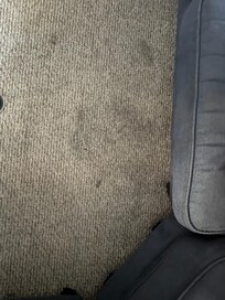 Most of the carpet was stained like this
