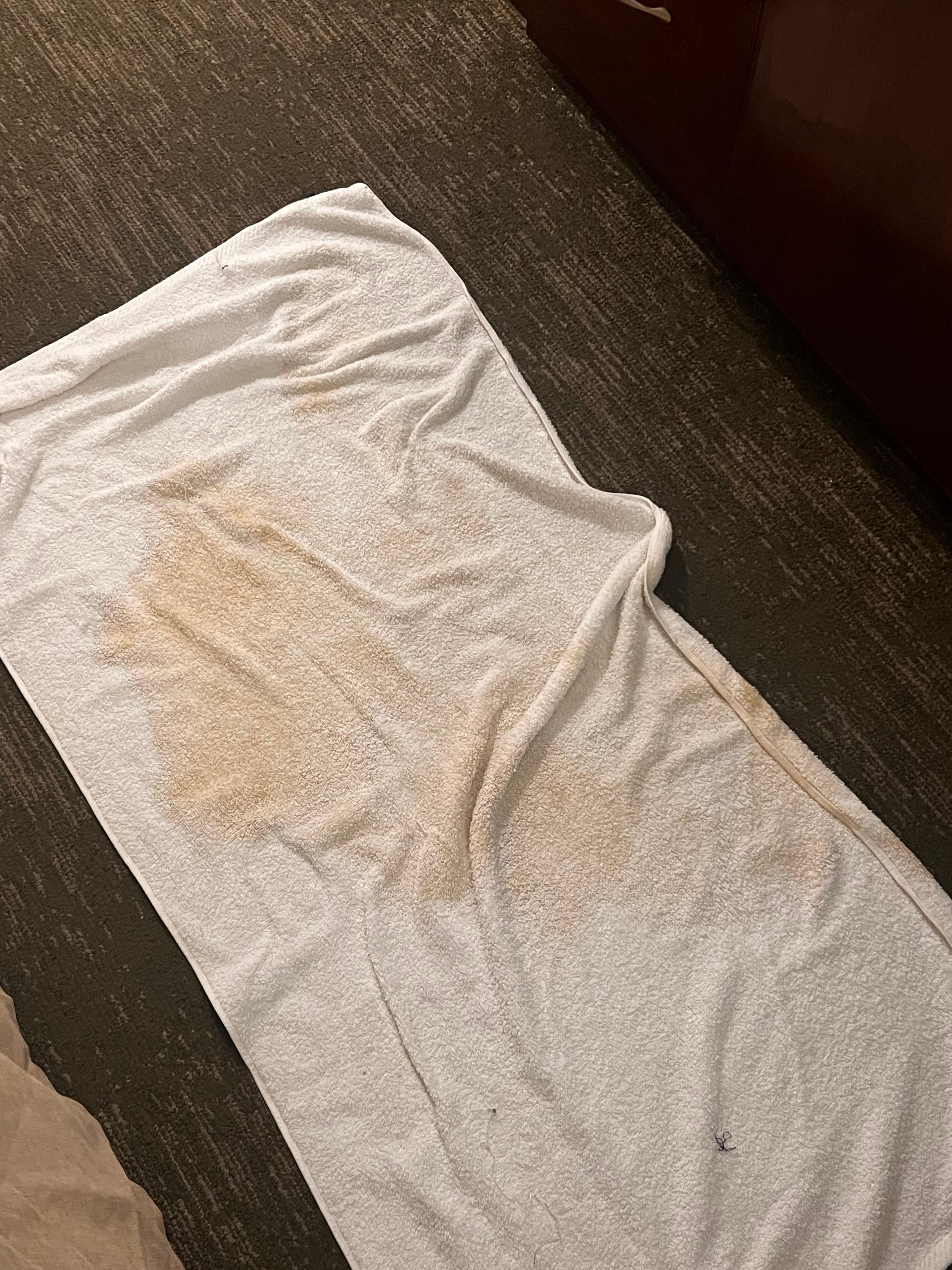 When I asked send someone to clean this the girl said no one is working to clean it and still nobody came by to clean this up the next day or even the day we checked out so they don’t care 