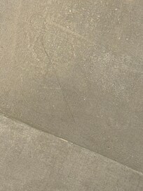 床上的頭髮,還有其他的,我沒有逐一拍照