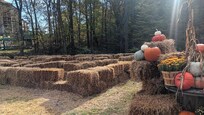 Maze
