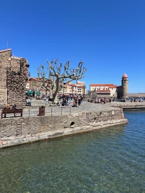 Collioure