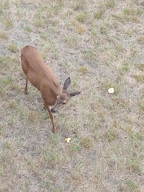 Saturday morning visitor. She was actually there all day.