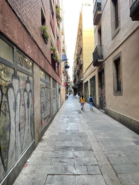 The alleyway to the entrance of the hotel.