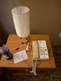 Light and plug not working