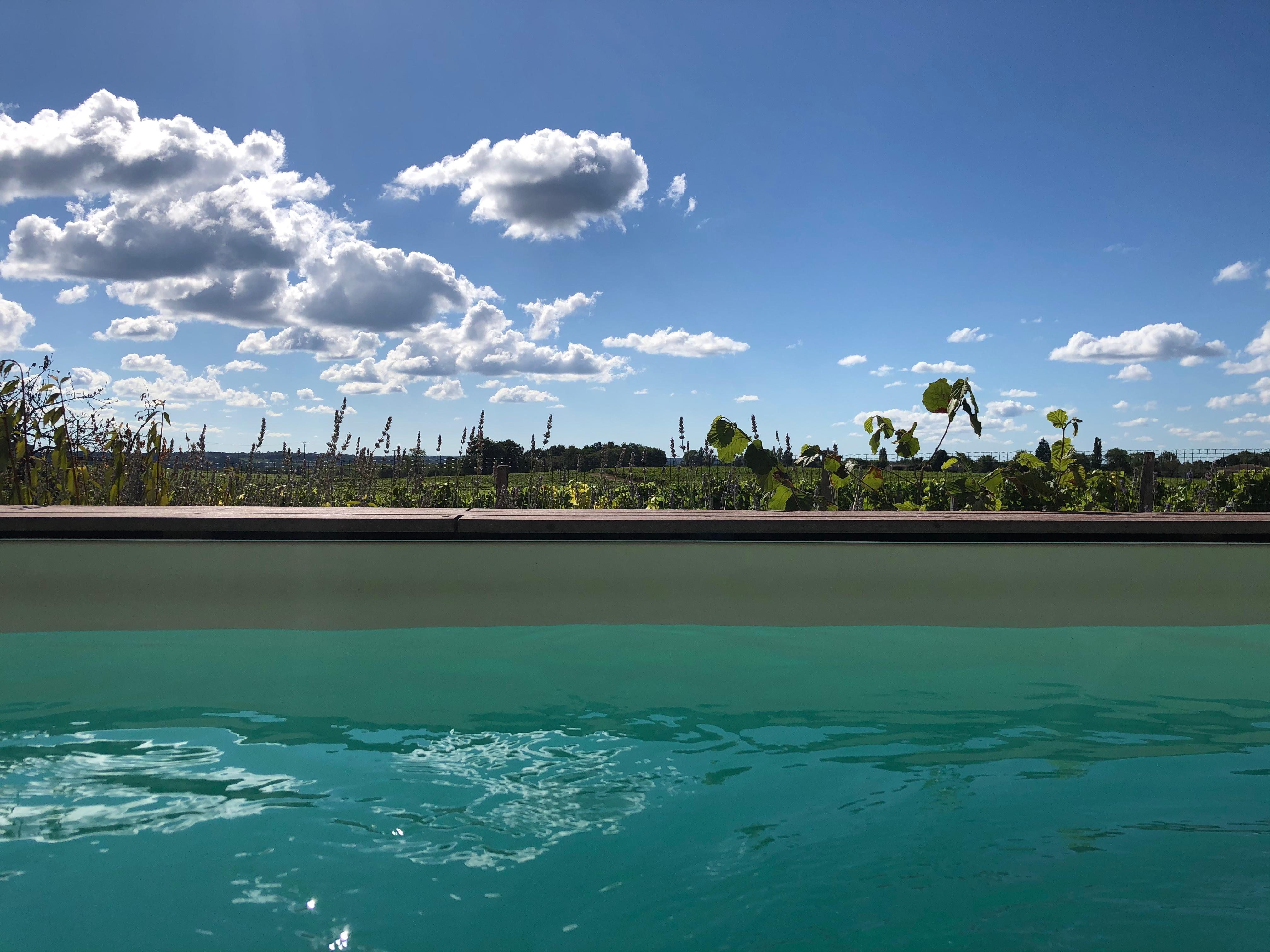 View from the pool