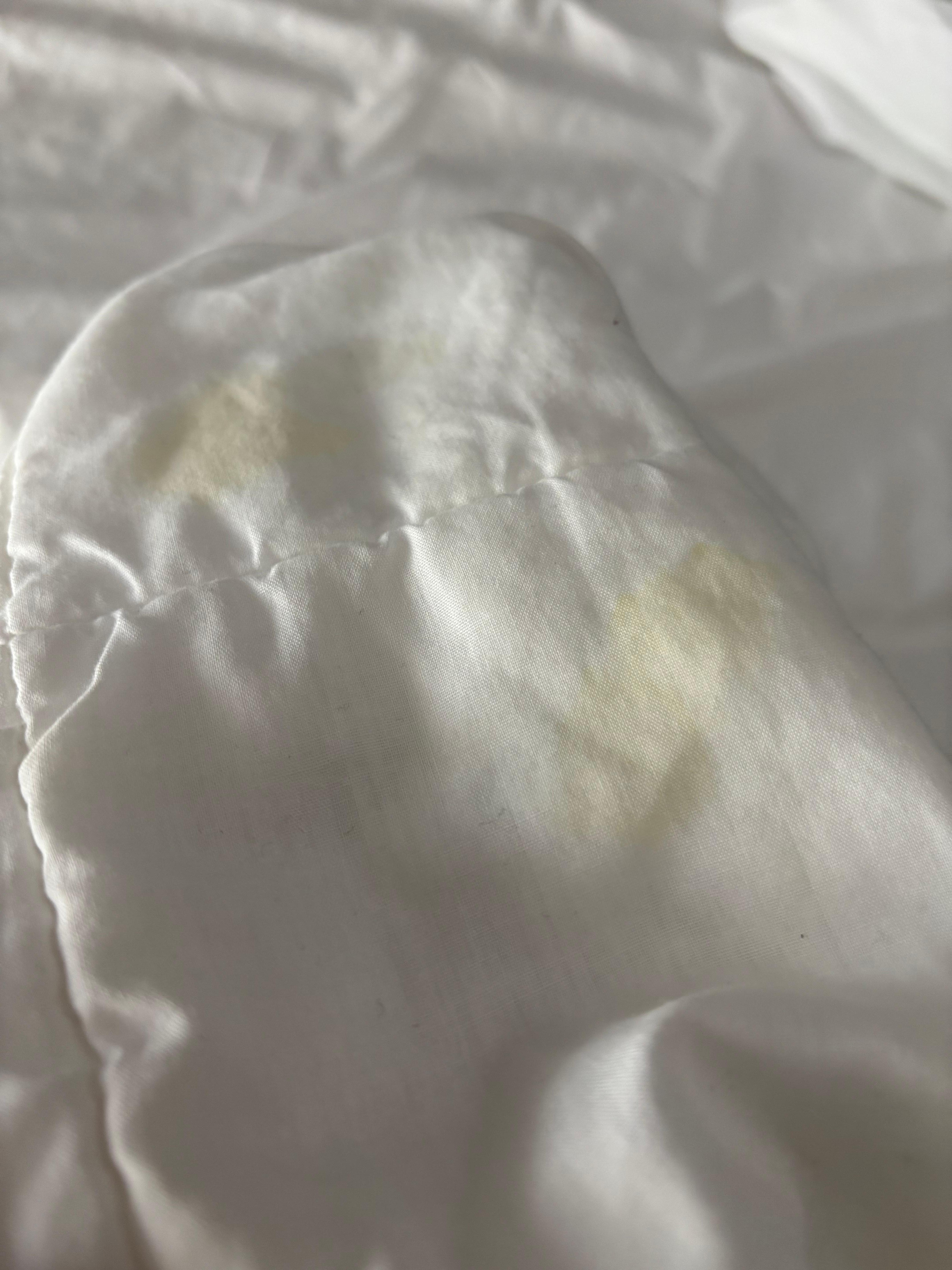 Pee sheets