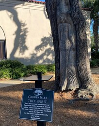 Tree Spirit Cora