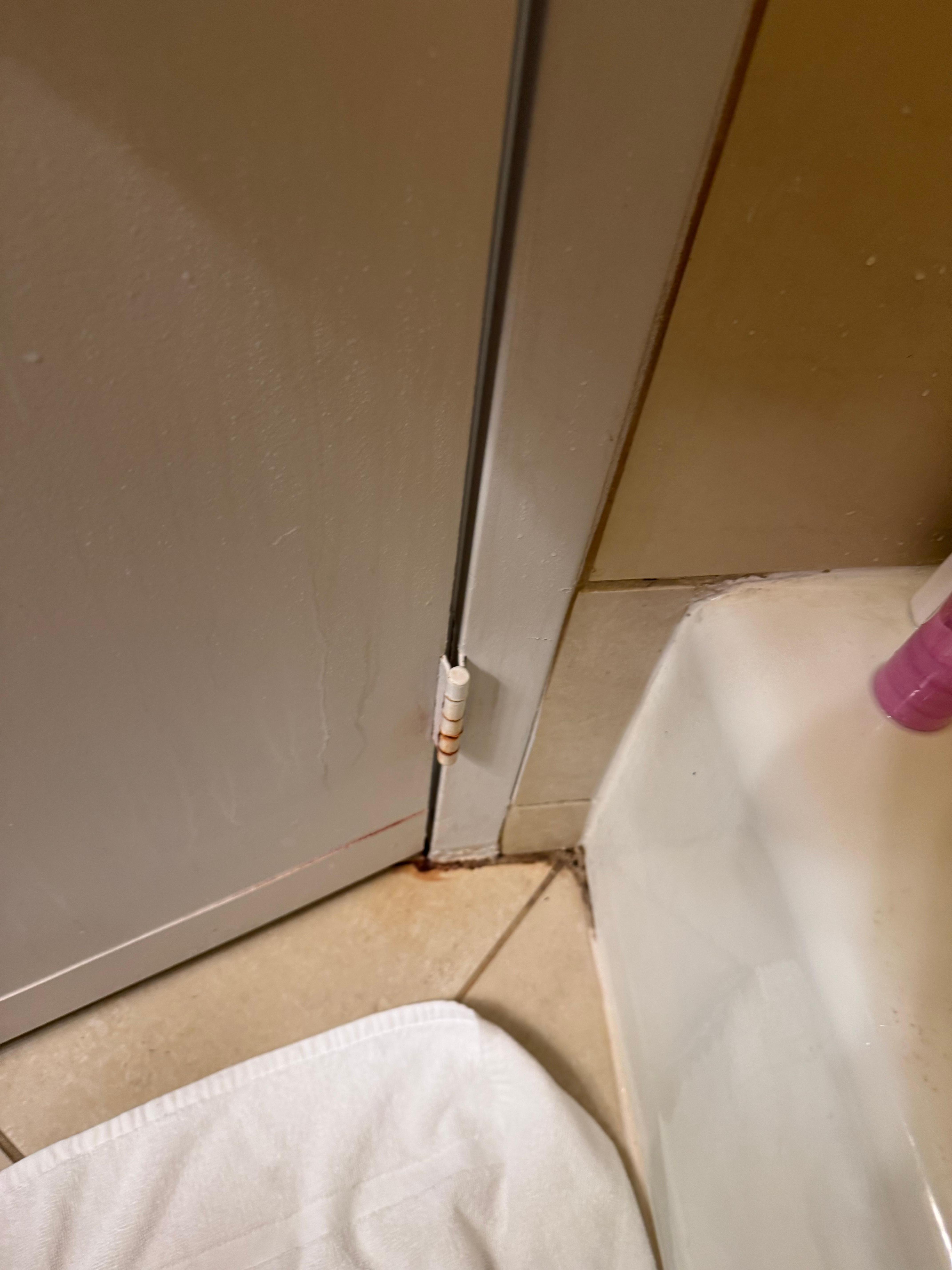 Bathroom/shower mold