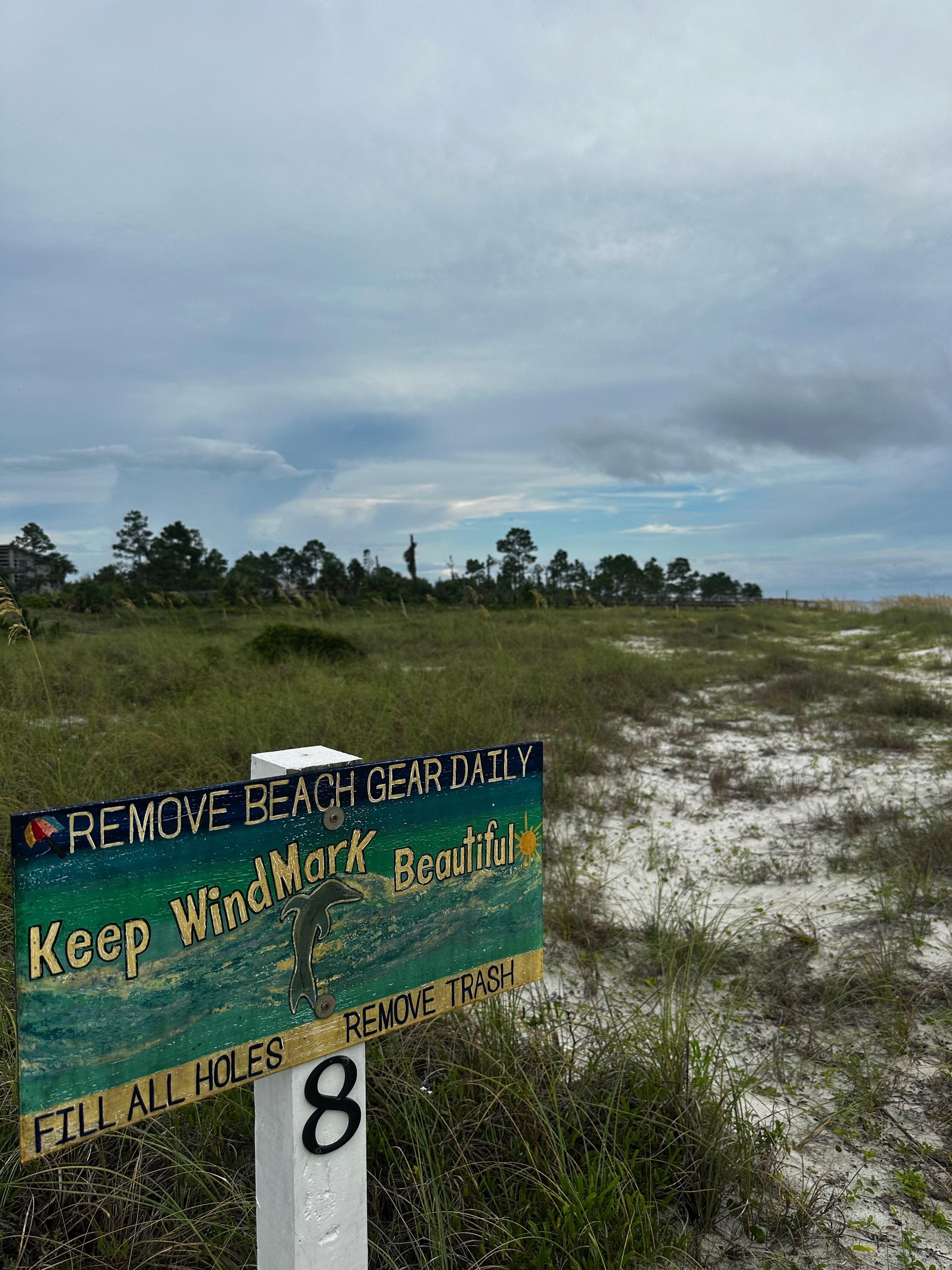 The beach was clean. 