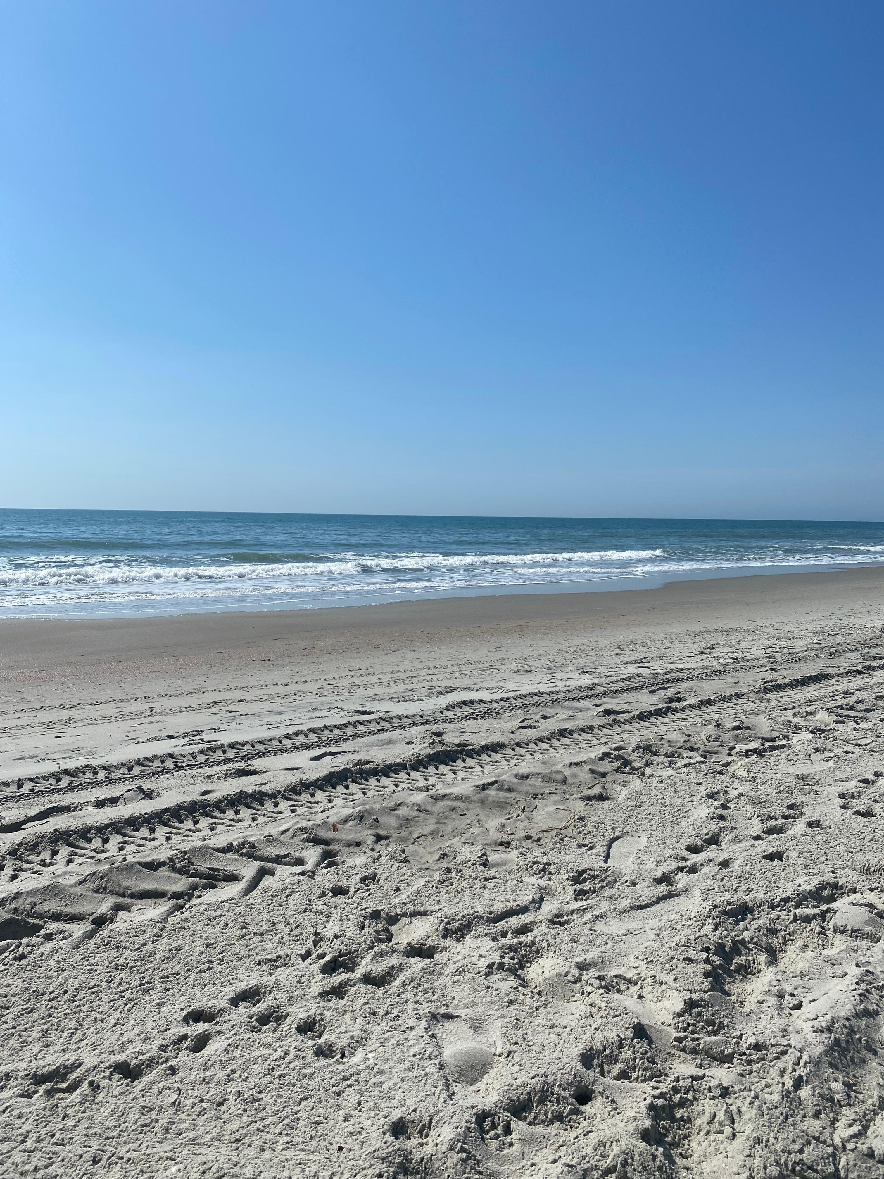 Sitting in the warm sun on the beach and enjoying our day