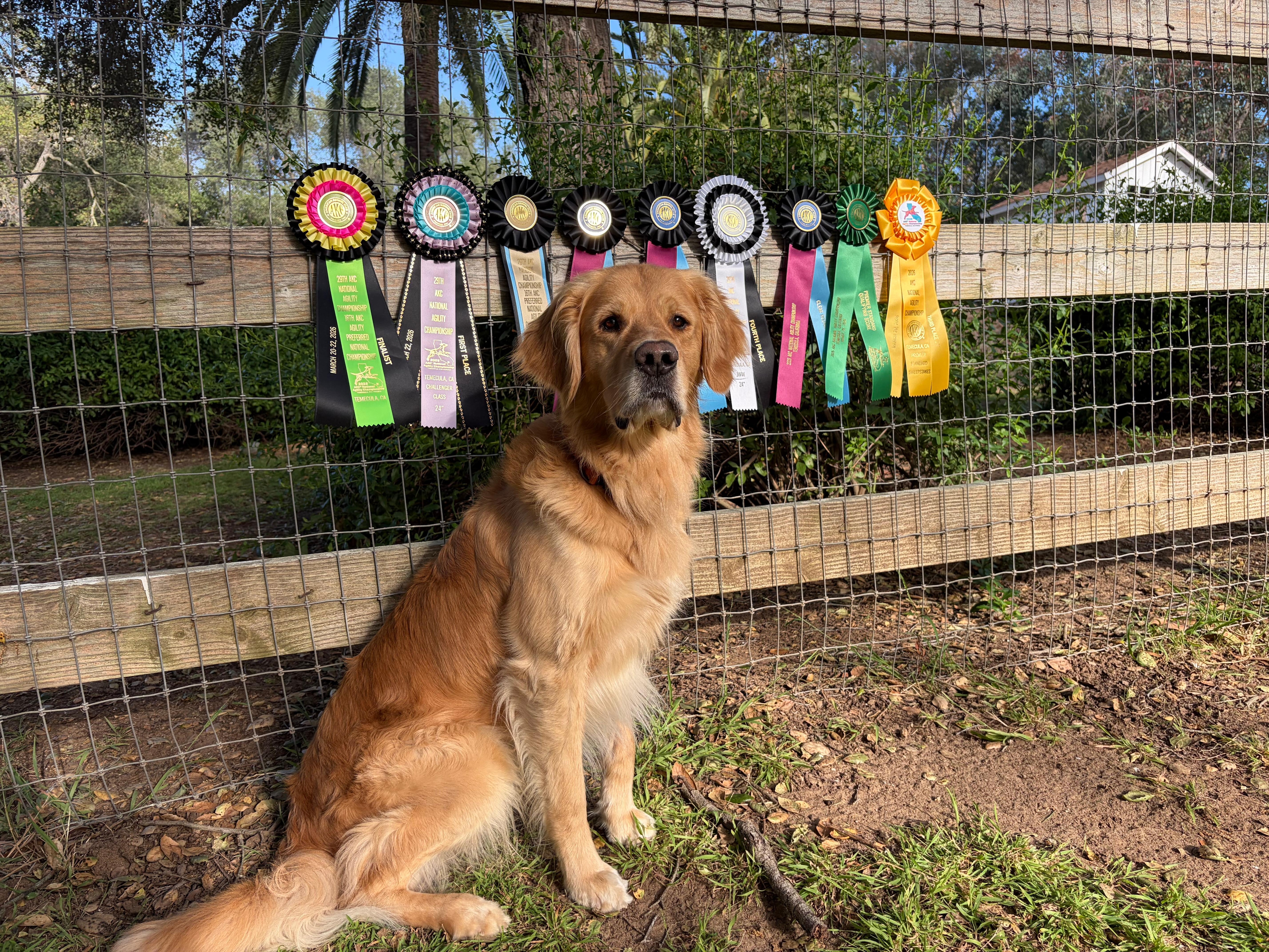 Row’n won Challengers 