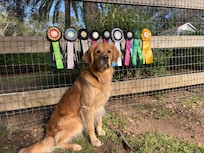 Row’n won Challengers