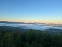 Morning view