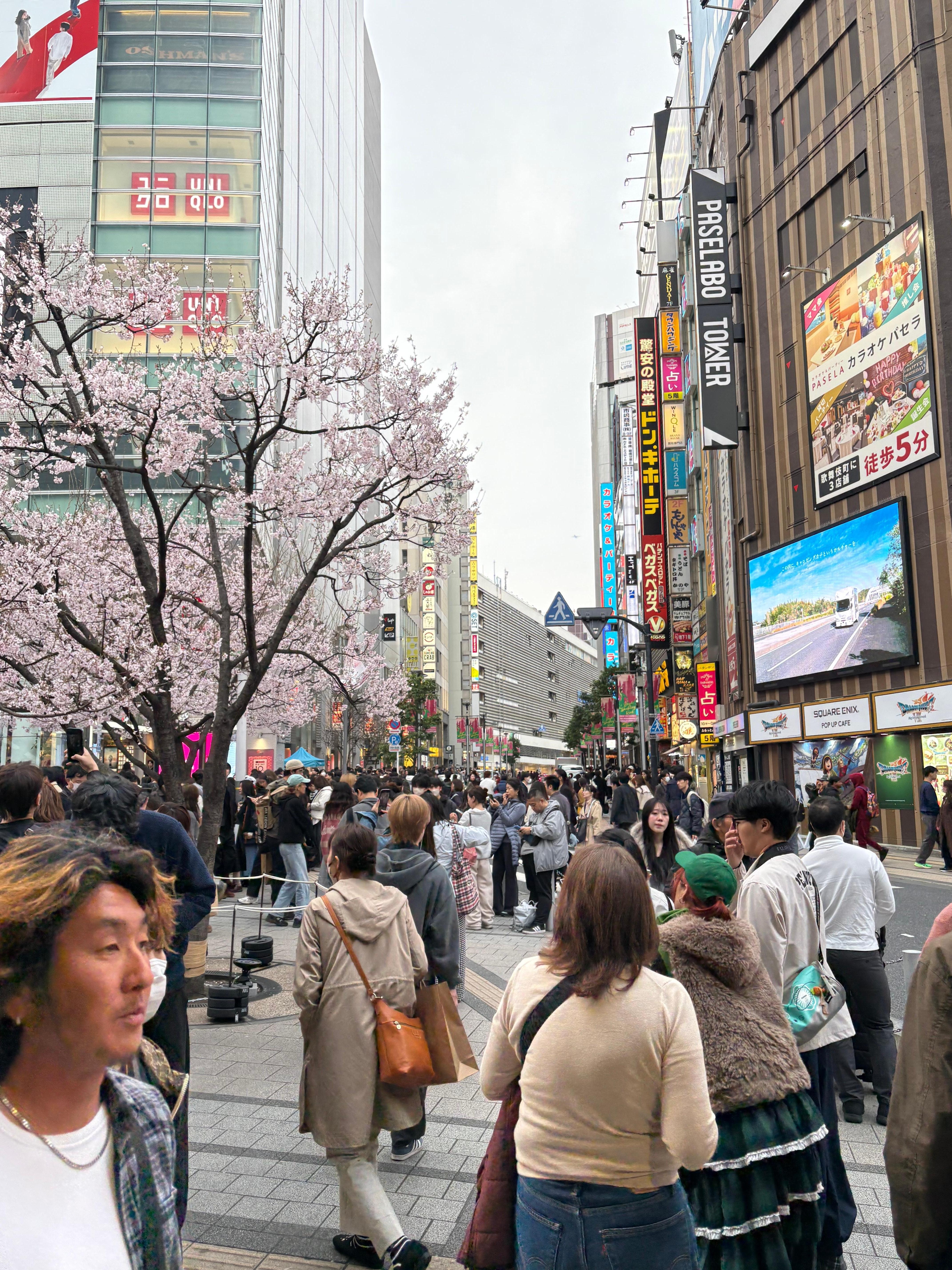 Breakfast granola set 