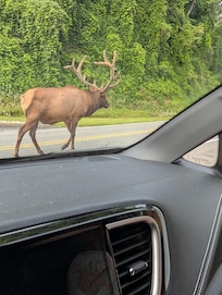 On our road trip around