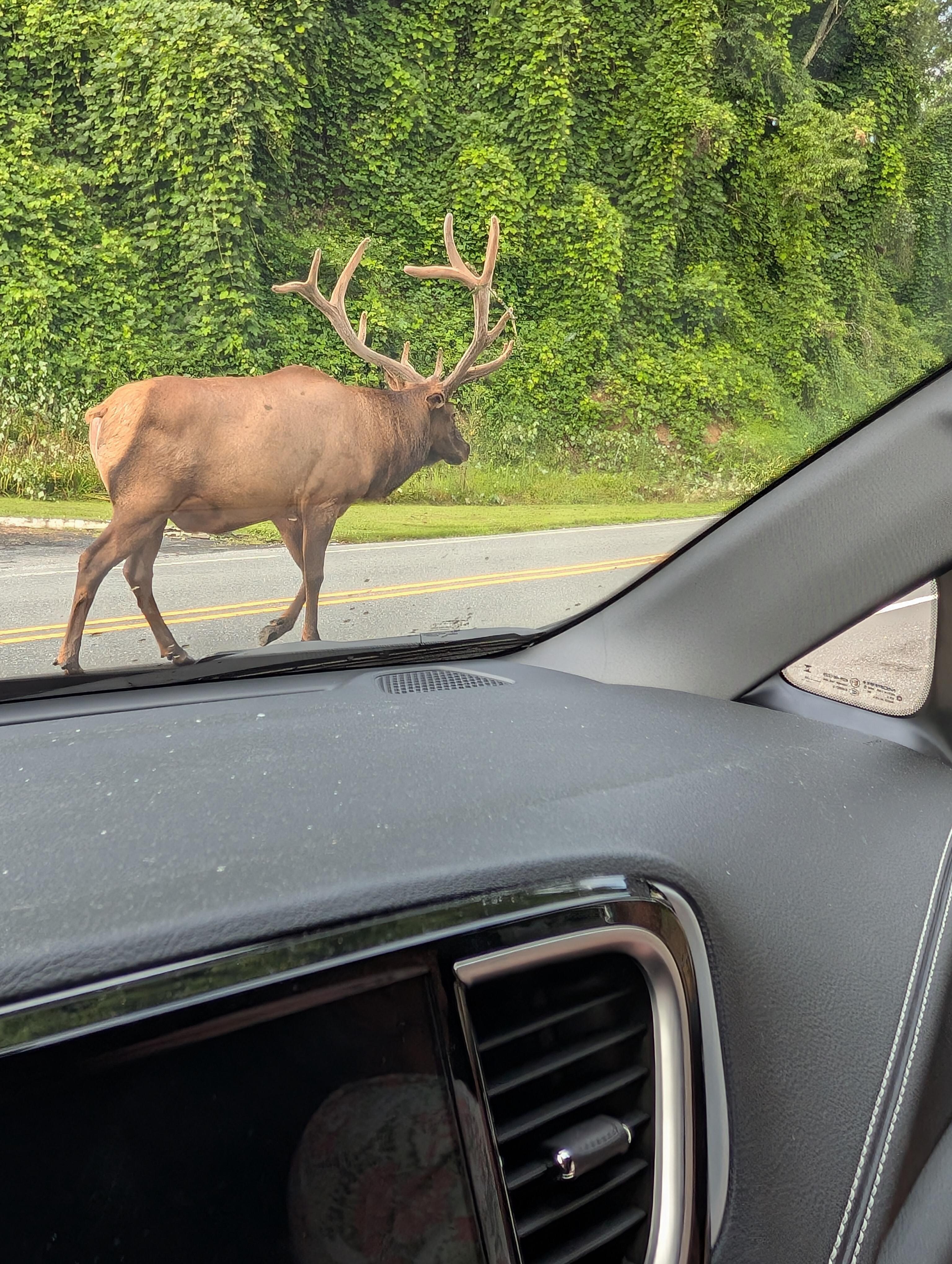 On our road trip around 