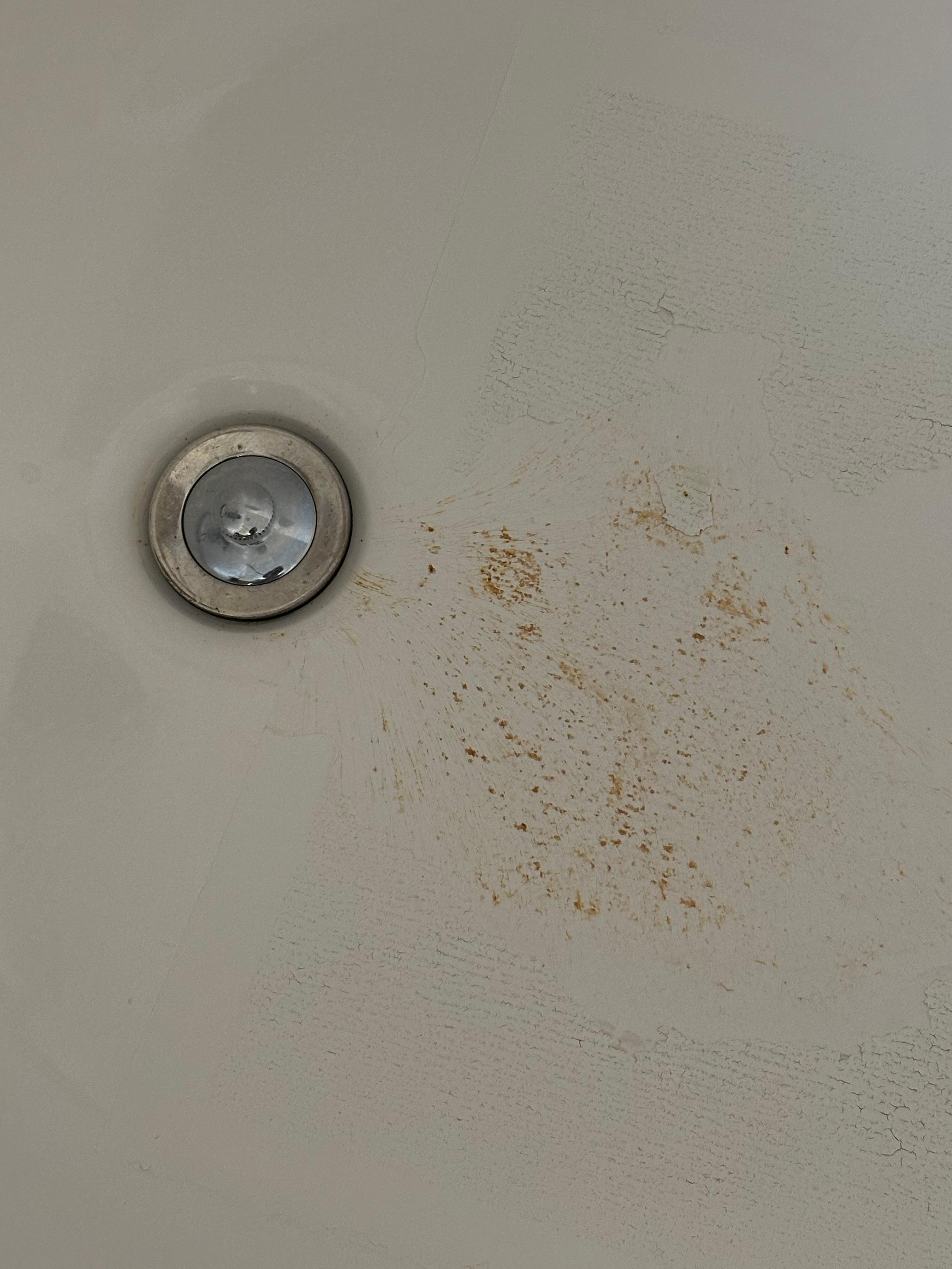 Something needed scrubbed at the drain!