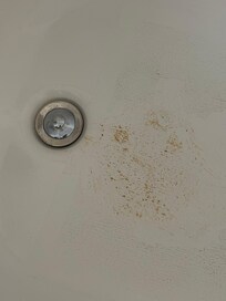 Something needed scrubbed at the drain!