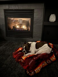 They had a dog bed and some treats ready for her!