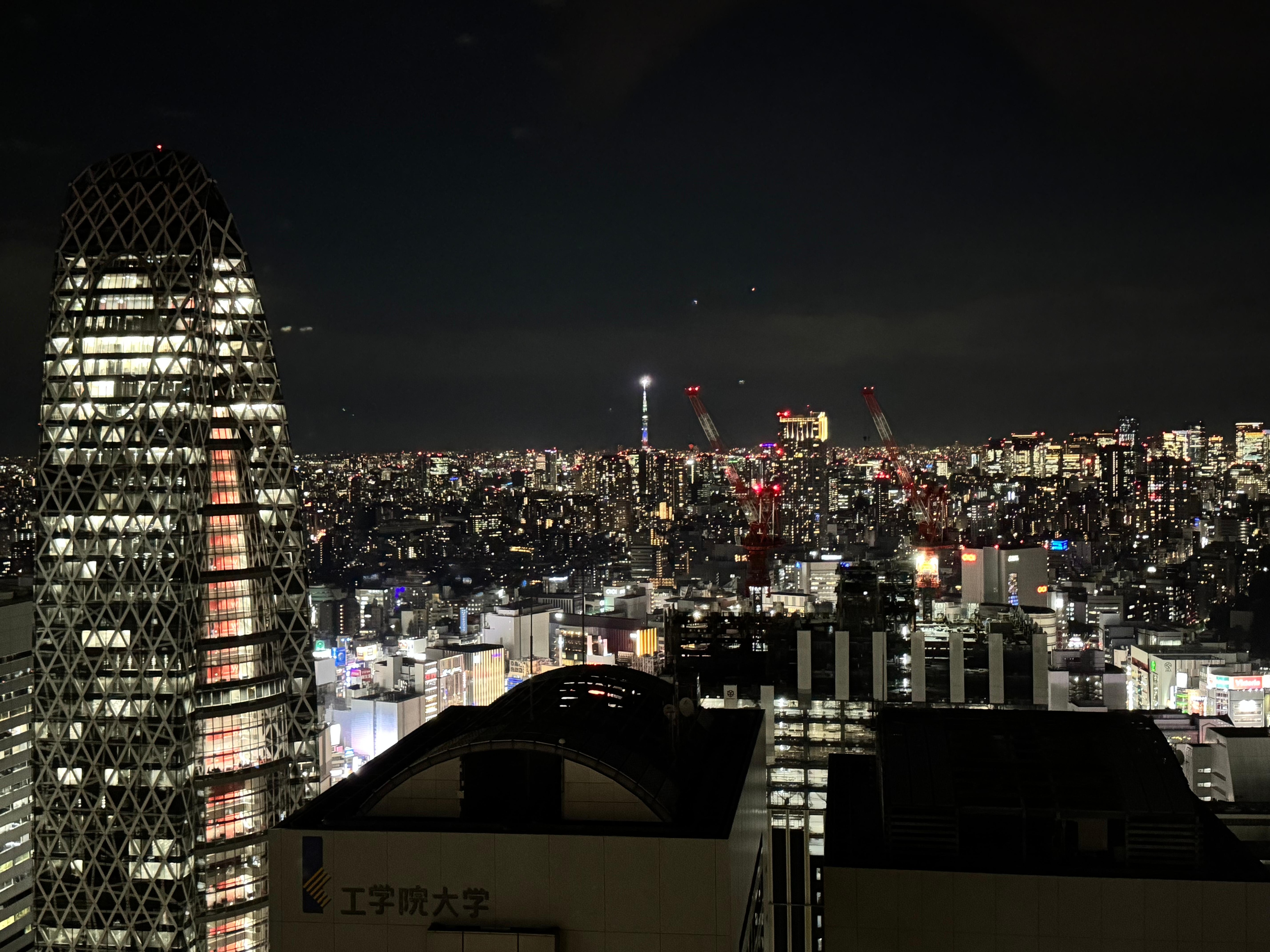 View from the Panoramic lounge.