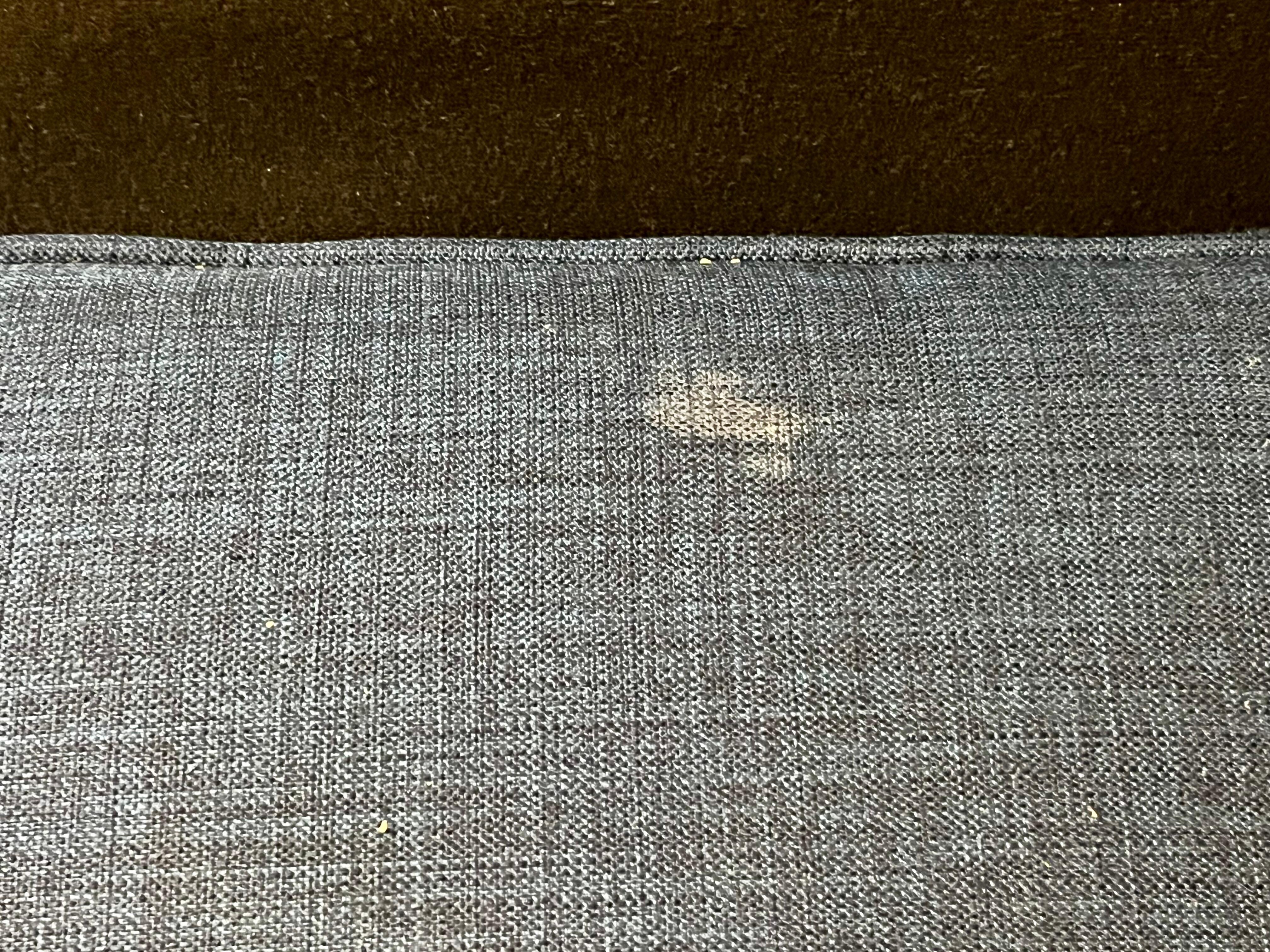 Crusty white stains on sofa cushions 🤮
