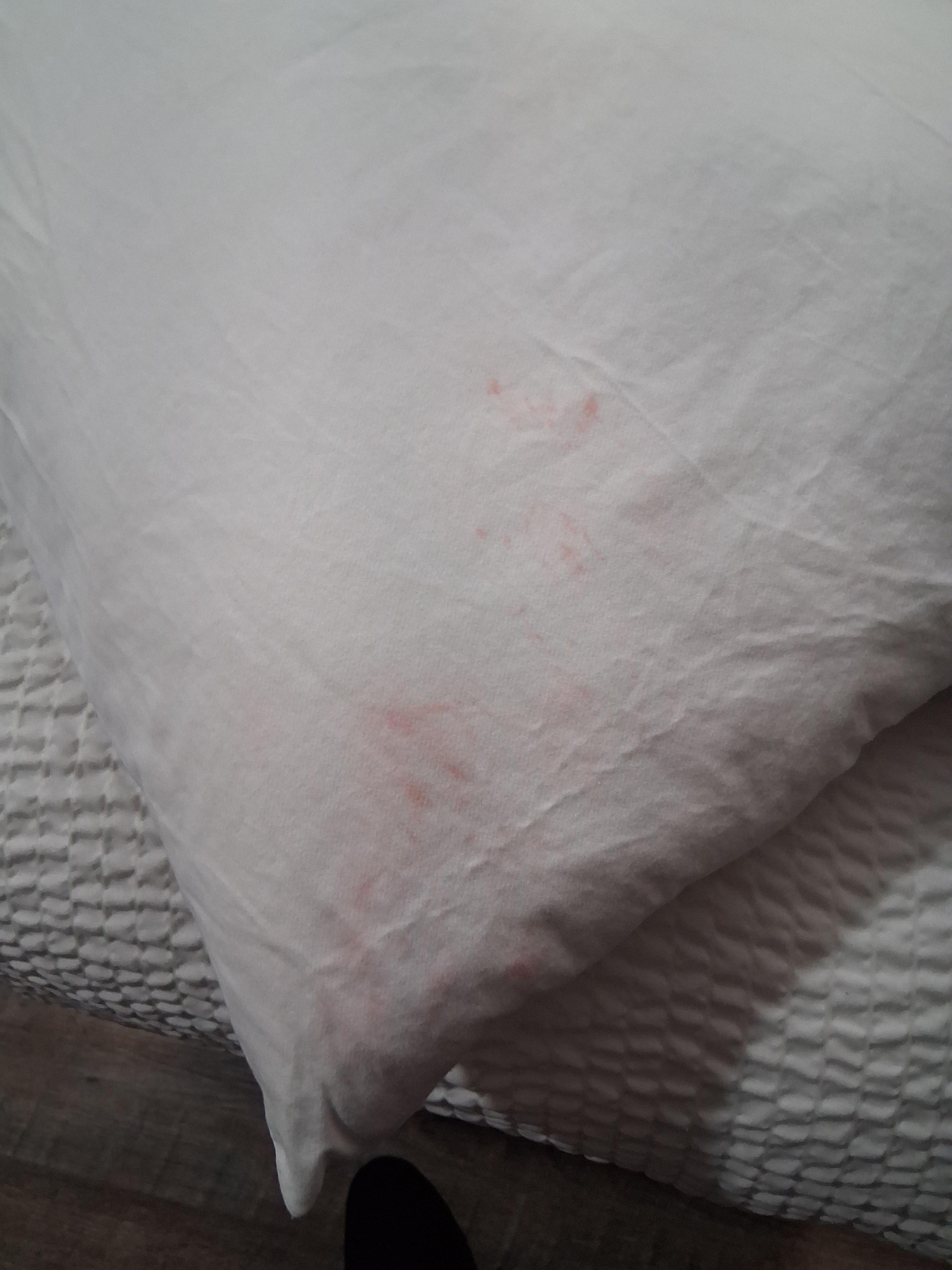 Dried up wine or juice stains on pillow