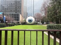 The Eye