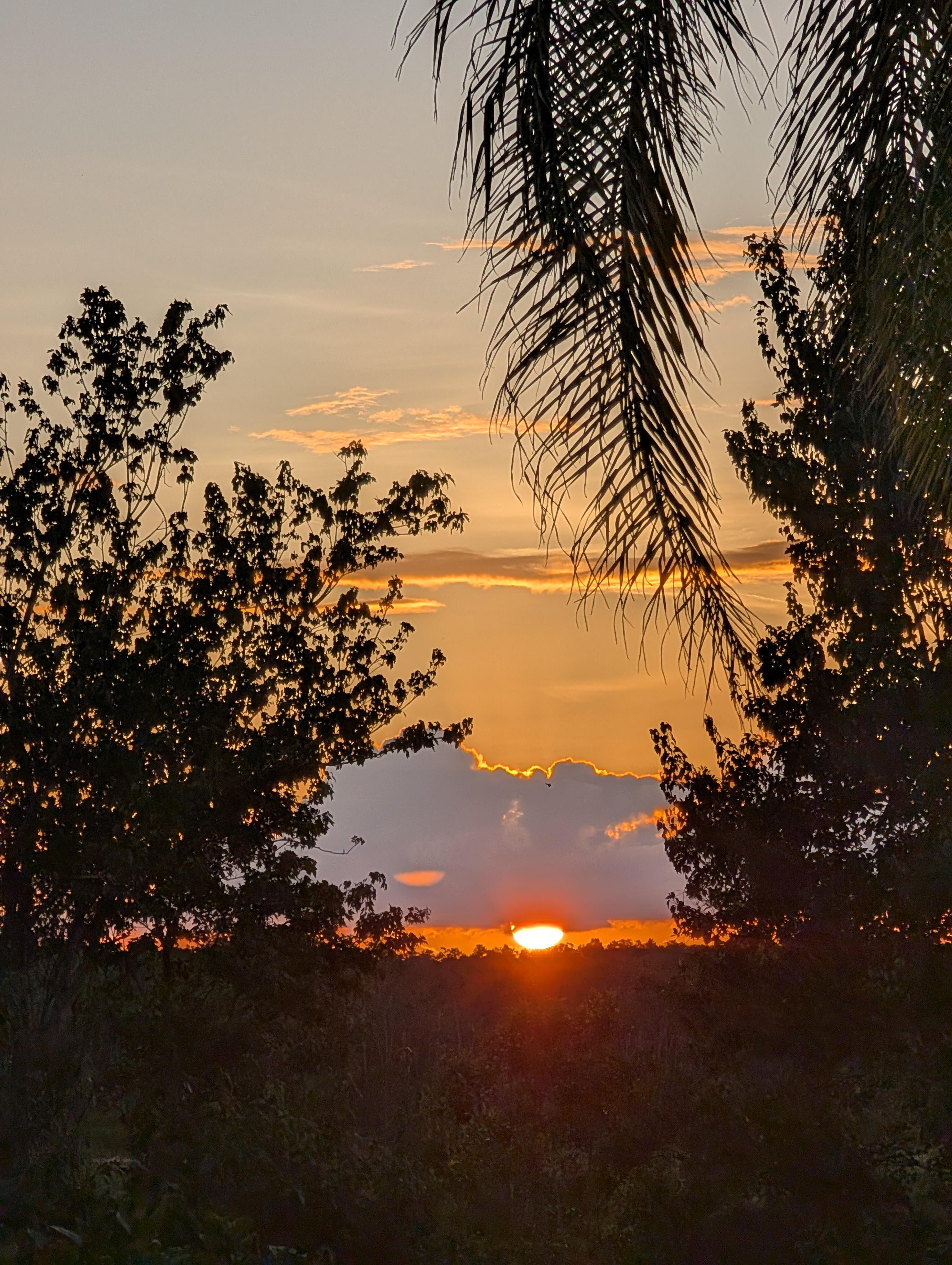 Beautiful sunset