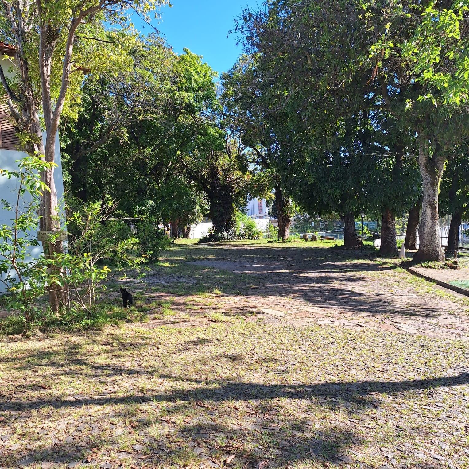 Área dentro do hotel