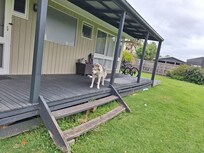 One of our furry kids