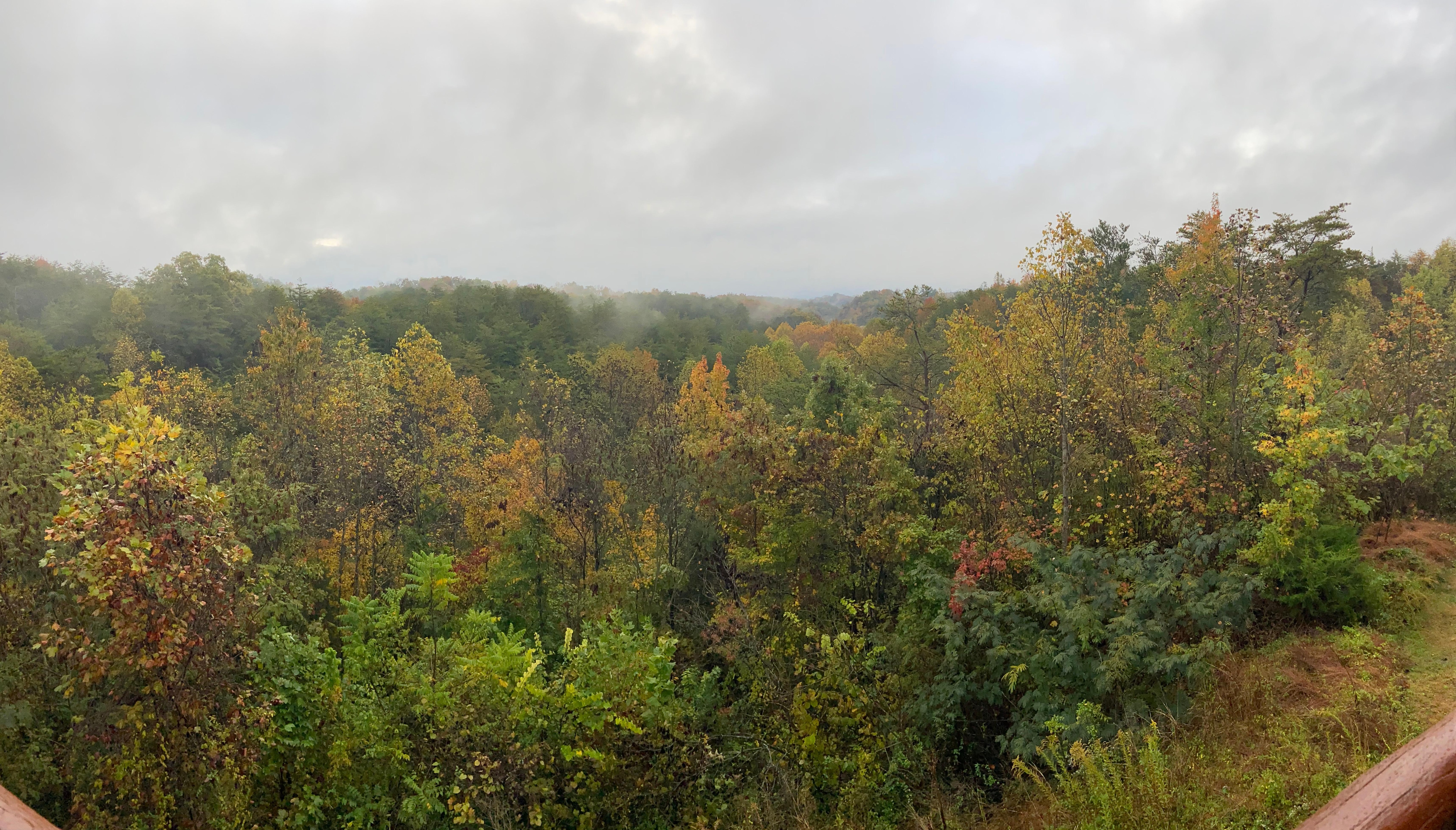 The view from the lower deck.  