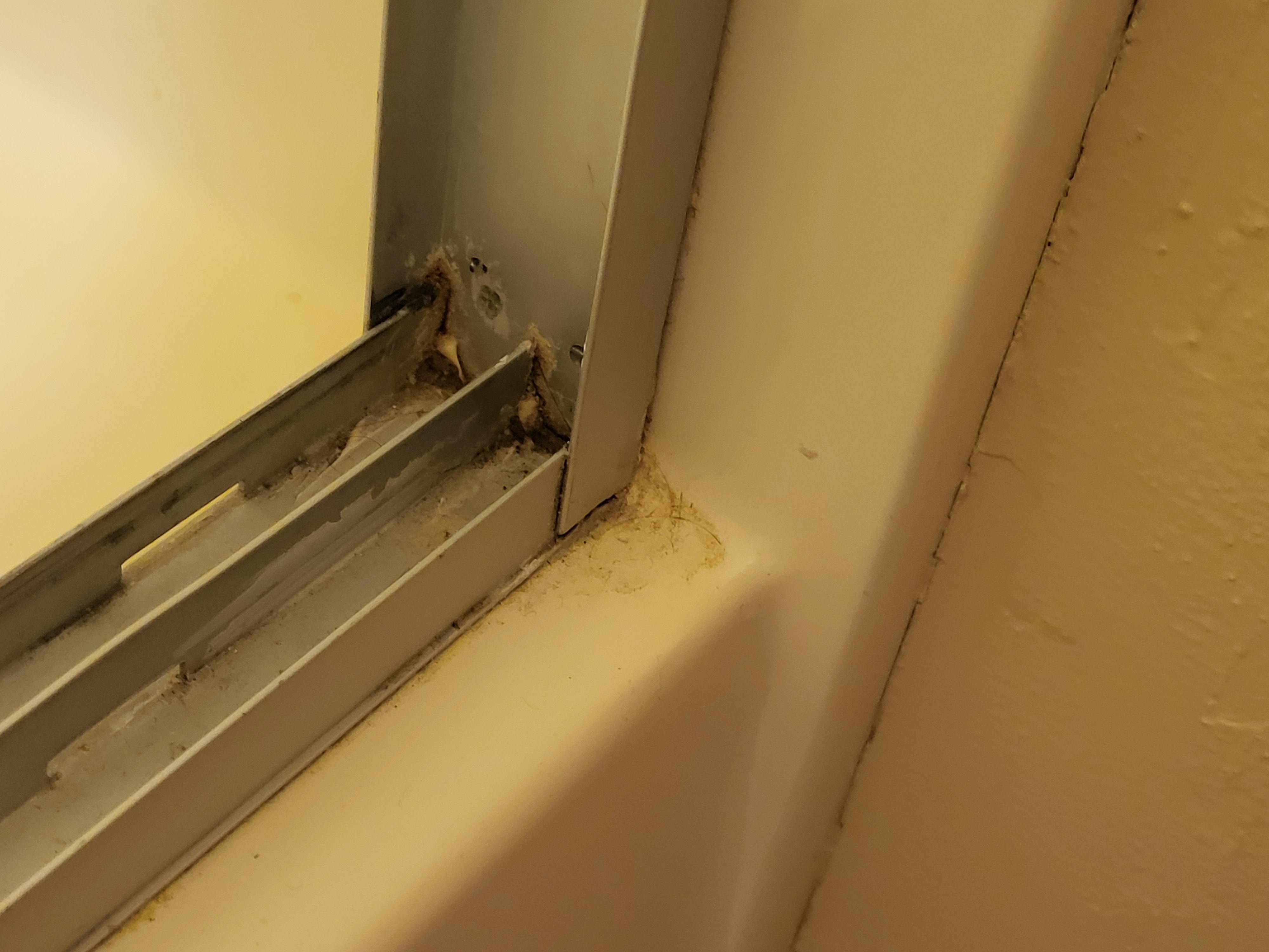 Shower door (outside)