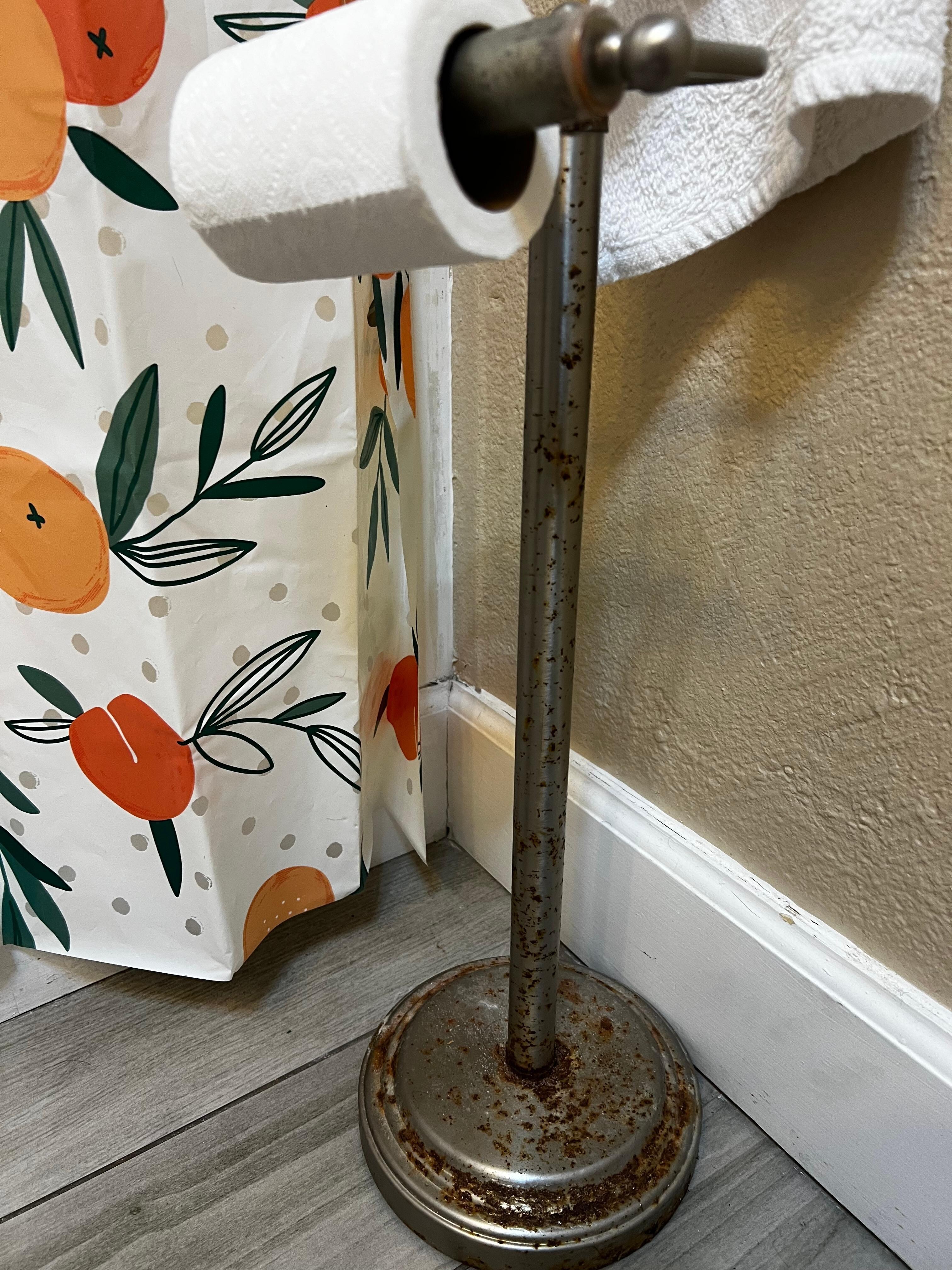 Rusty toilet paper holder