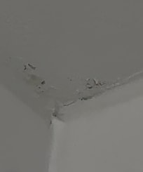 Mold and hair on ceiling